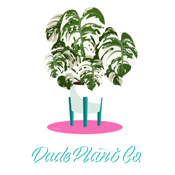 Dade Plant Co