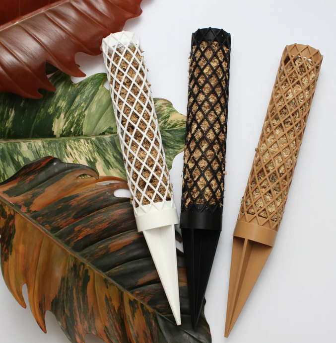 Plvntly Pole & Plank Starter Kit (Black) - Dade Plant Co